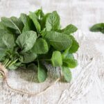 نعناع؛ معجزه‌ ای برای سلامت روده