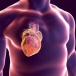 چرا قلب کمتر از دیگر اندام‌ ها در معرض سرطان قرار می‌ گیرد؟