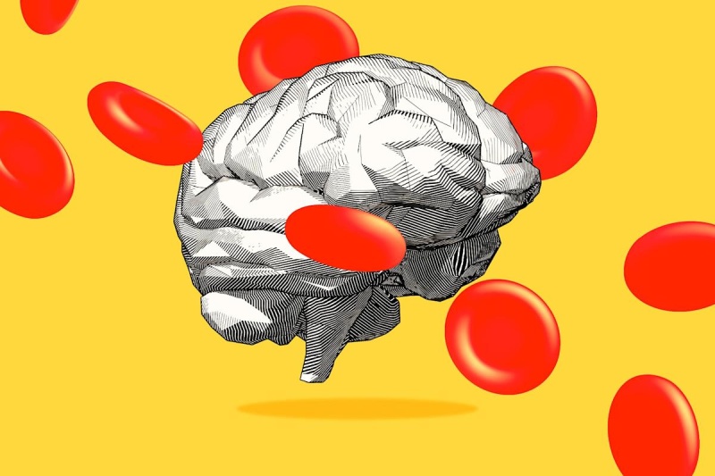 نقش کلسترول در عملکرد مغز و ارتباط آن با آلزایمر