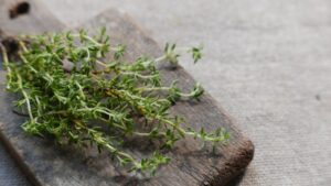 آویشن؛ چاشنی معطر و داروی طبیعی برای بهبود گوارش و رفع نفخ
