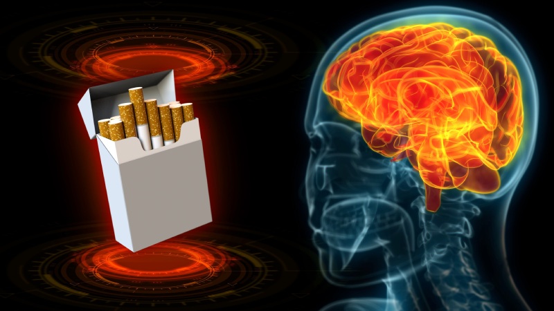 ترک سیگار چگونه از مغز محافظت می کند؟