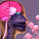 سمعک بینی چیست؟ فناوری جدیدی که شاید بتواند حس بویایی را به میلیون ها نفر بازگرداند
