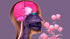 سمعک بینی چیست؟ فناوری جدیدی که شاید بتواند حس بویایی را به میلیون ها نفر بازگرداند