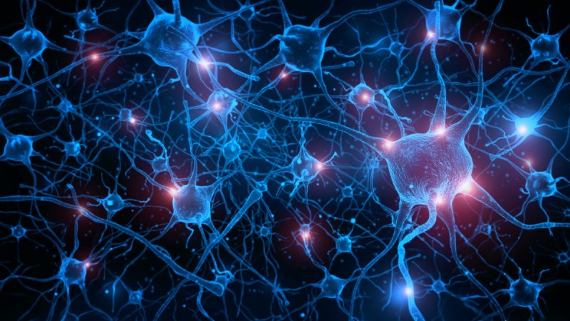 آیا این روش واقعا نورون جدید تولید می کند؟